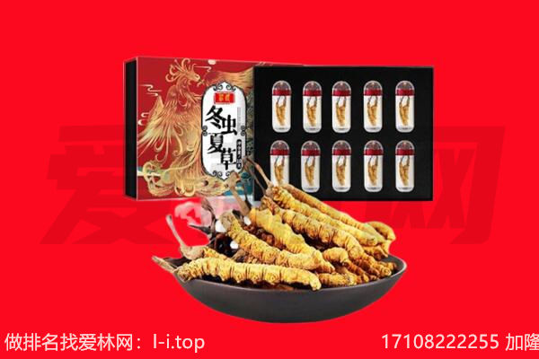 巴音郭楞和静县回收虫草.jpg